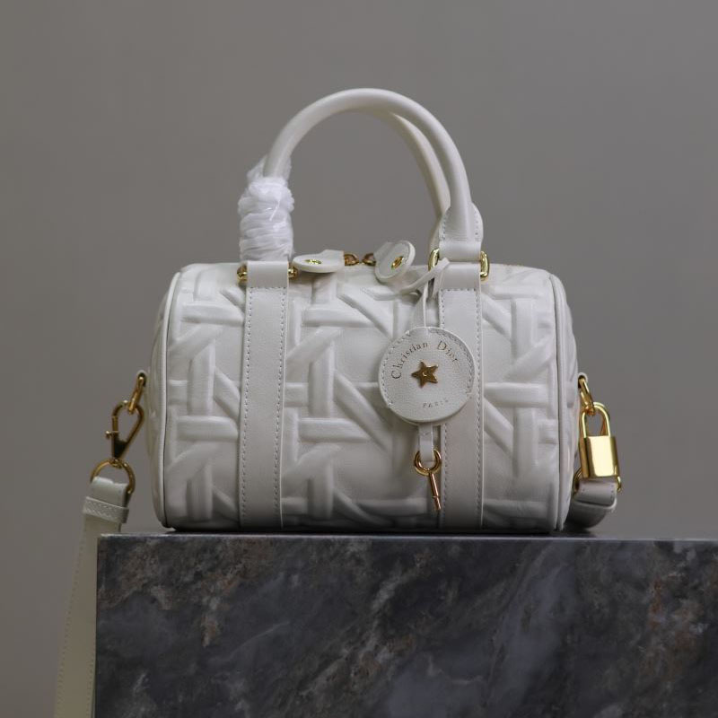 chr1st1an D10r boston bags